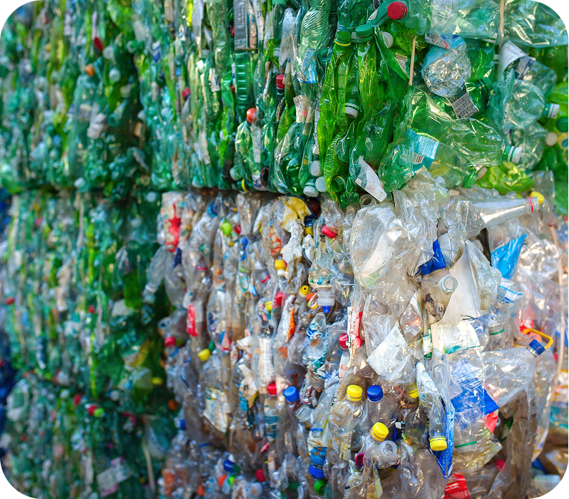 Collected plastic bottles prepared for recycling