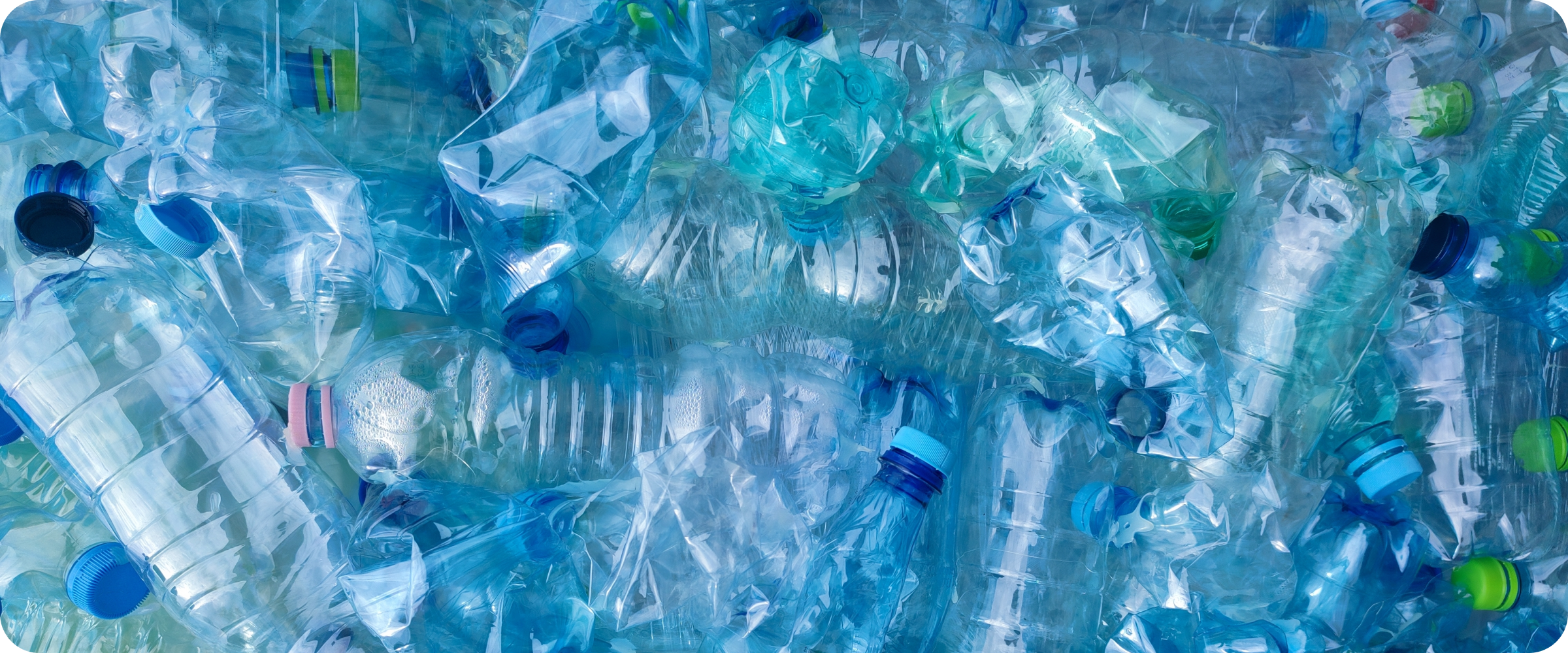 plastic-water-bottles